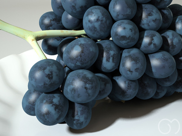 3d photorealistic black grape - Grape Black by goodmesh