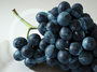 3d photorealistic black grape