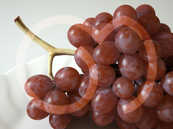 3d model photorealistic red grape - Grape Red by goodmesh