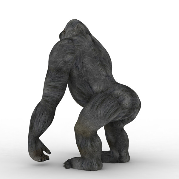 3d gorilla monkey model - Gorilla by 3d_Wanderer