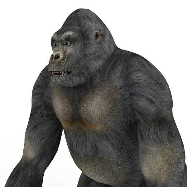 3d gorilla monkey model - Gorilla by 3d_Wanderer