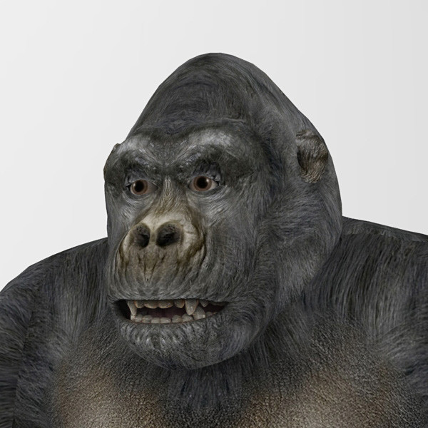 3d gorilla monkey model - Gorilla by 3d_Wanderer