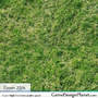 High Quality Grass