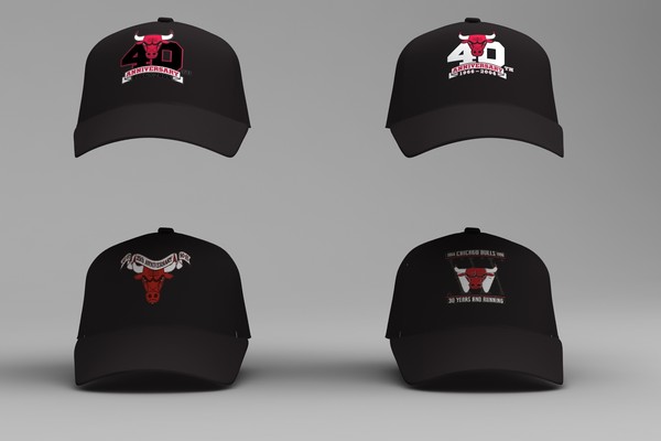 chicago bulls anniversary logos 3d model - Chicago Bulls Anniversary Logos by dentonvanzan