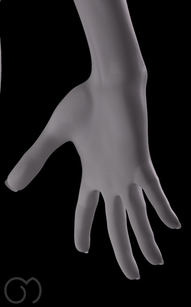 anatomy woman 3d obj - Woman by goodmesh