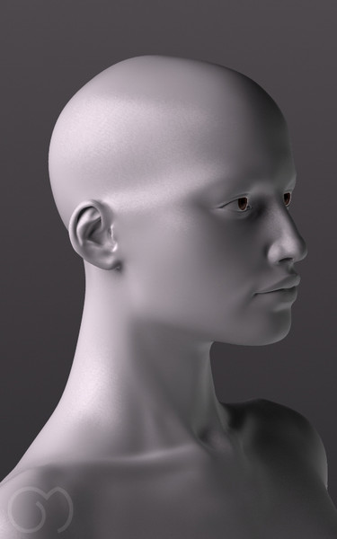 anatomy woman 3d obj - Woman by goodmesh