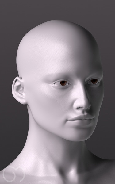anatomy woman 3d obj - Woman by goodmesh