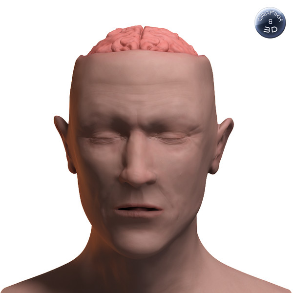 skull brain obj - Brain and Head... by PolyTron