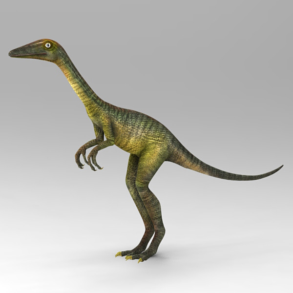 3d model cheetah3d troodon formosus - Troodon Formosus new by 3d_Wanderer