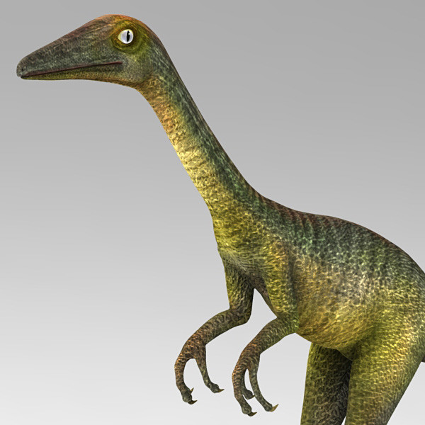 3d model cheetah3d troodon formosus - Troodon Formosus new by 3d_Wanderer