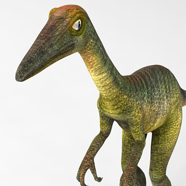 3d model cheetah3d troodon formosus - Troodon Formosus new by 3d_Wanderer