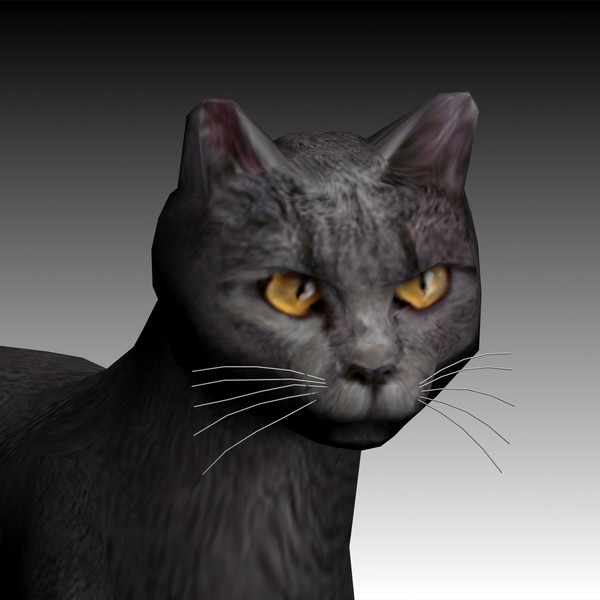 max cat pet - Cat low poly by virtualclay