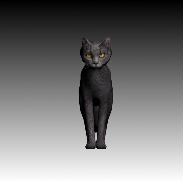 max cat pet - Cat low poly by virtualclay