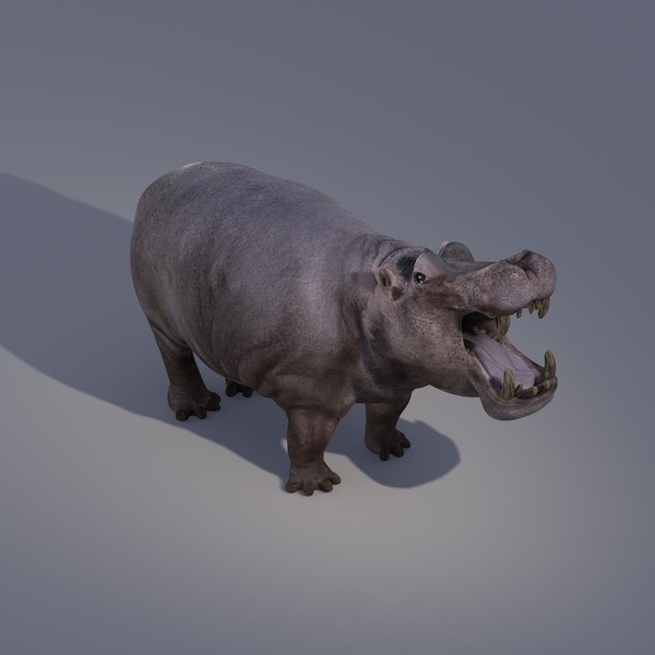 3dsmax realistic hippopotamus - Hippopotamus by Massimo Righi