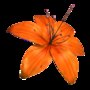 3d flower model