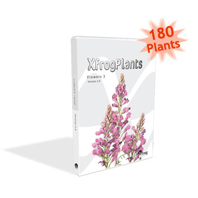 peony plants shrubs flowering 3d max - XfrogPlants Peony by xfrog