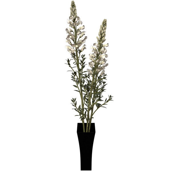 3d model snapdragon plant flowers - XfrogPlants Snapdragon by xfrog