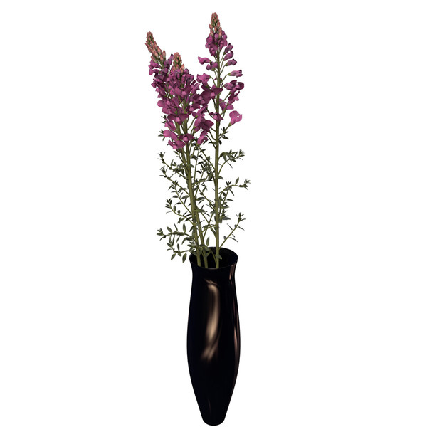 3d model snapdragon plant flowers - XfrogPlants Snapdragon by xfrog