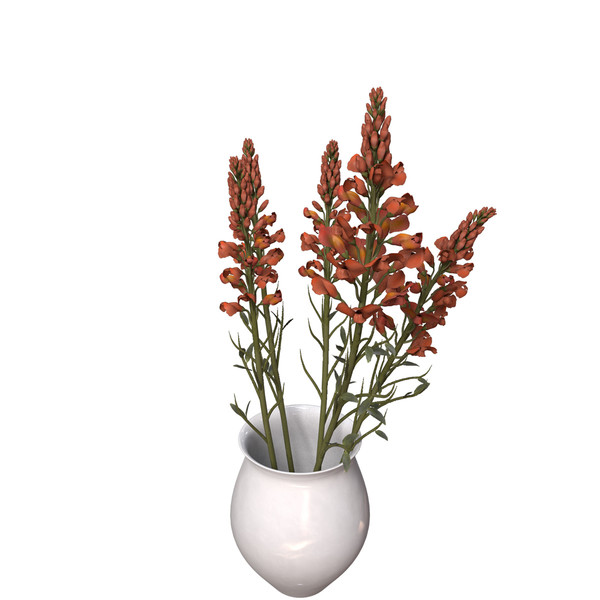 3d model snapdragon plant flowers - XfrogPlants Snapdragon by xfrog