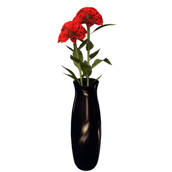 3d coxcomb plants flowers - XfrogPlants Coxcomb by xfrog