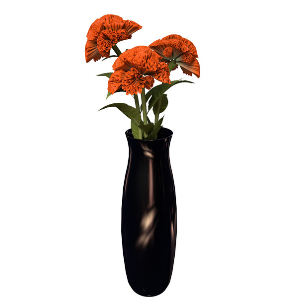 3d coxcomb plants flowers - XfrogPlants Coxcomb by xfrog