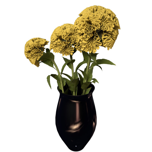 3d coxcomb plants flowers - XfrogPlants Coxcomb by xfrog