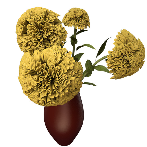 3d coxcomb plants flowers - XfrogPlants Coxcomb by xfrog