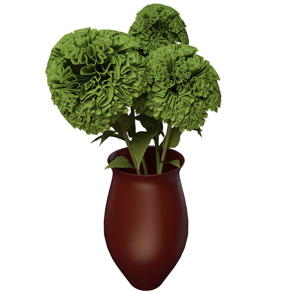 3d coxcomb plants flowers - XfrogPlants Coxcomb by xfrog
