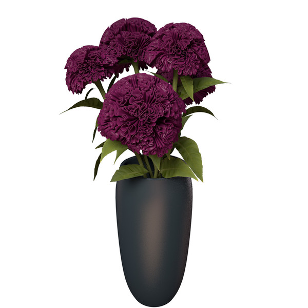 3d coxcomb plants flowers - XfrogPlants Coxcomb by xfrog