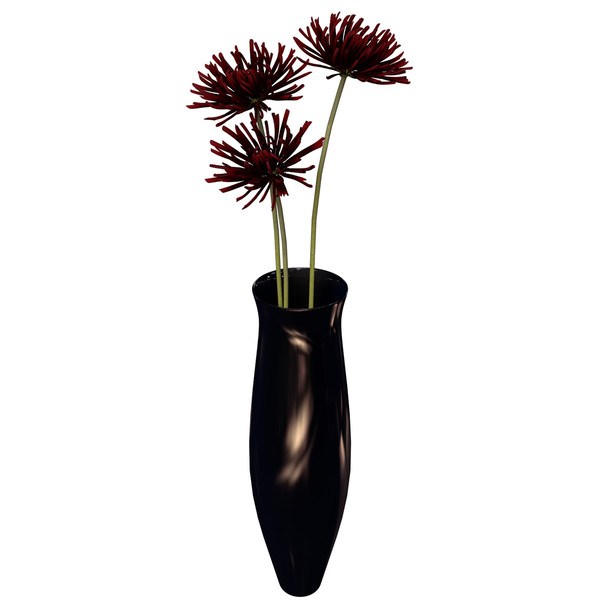 dahlia plants flowers 3d c4d - XfrogPlants Dahlia by xfrog