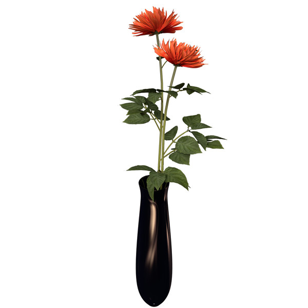 dahlia plants flowers 3d c4d - XfrogPlants Dahlia by xfrog