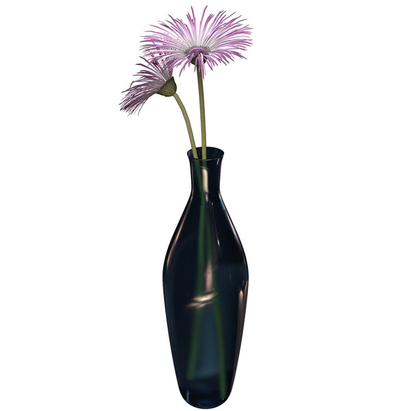 spider gerbera plants flowers 3ds - XfrogPlants Spider Gerbera by xfrog