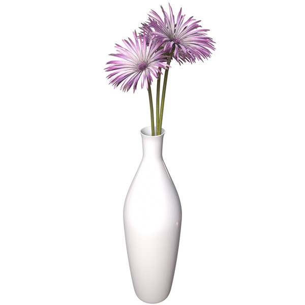 spider gerbera plants flowers 3ds - XfrogPlants Spider Gerbera by xfrog