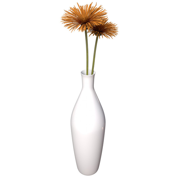 spider gerbera plants flowers 3ds - XfrogPlants Spider Gerbera by xfrog