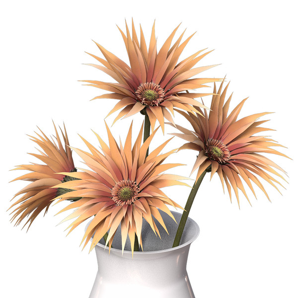 spider gerbera plants flowers 3ds - XfrogPlants Spider Gerbera by xfrog