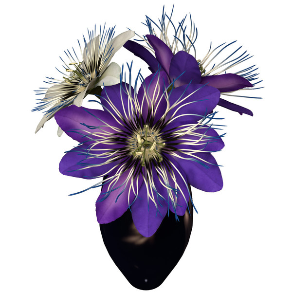 3ds max passion flower plants - XfrogPlants Passion Flower by xfrog