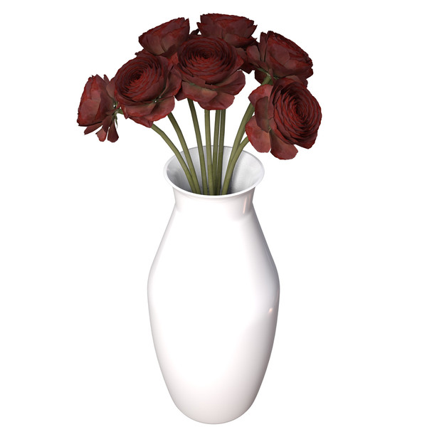 buttercup flowering plants 3d max - XfrogPlants Buttercup by xfrog