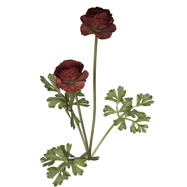 buttercup flowering plants 3d max - XfrogPlants Buttercup by xfrog