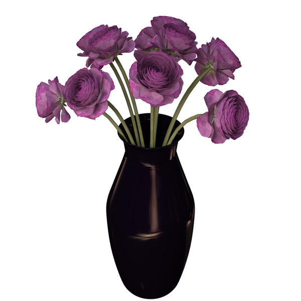 buttercup flowering plants 3d max - XfrogPlants Buttercup by xfrog