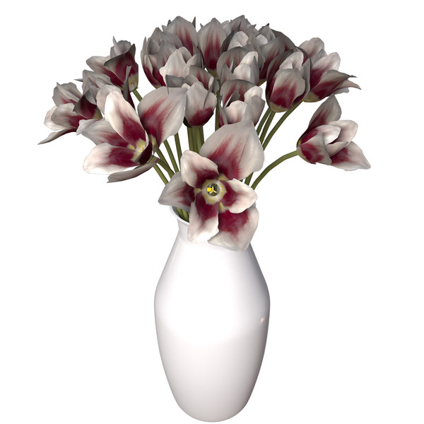 3ds tulip planted - XfrogPlants Tulip by xfrog