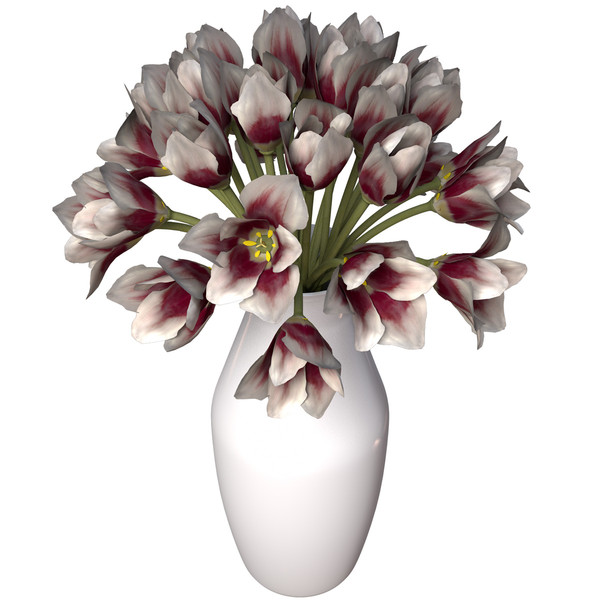 3ds tulip planted - XfrogPlants Tulip by xfrog