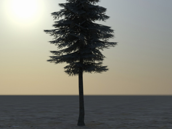 fir tree 3d max - Fir cone 03 by fabelar