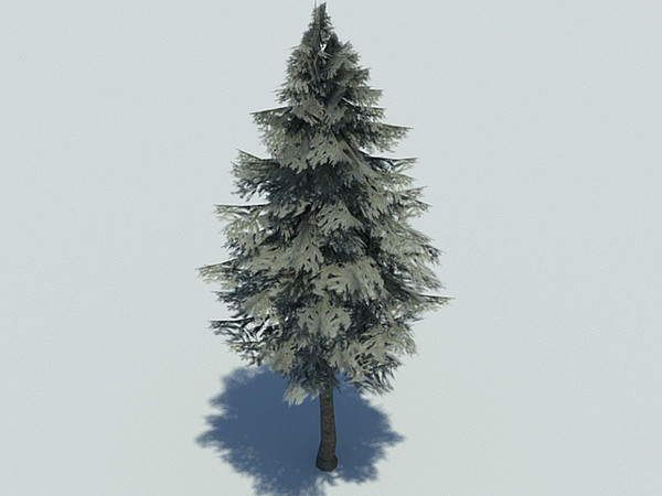 fir tree 3d max - Fir cone 03 by fabelar