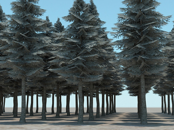 fir tree 3d max - Fir cone 03 by fabelar