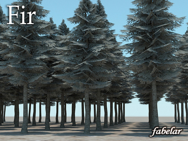 fir tree 3d max - Fir cone 03 by fabelar