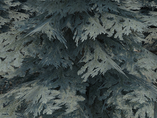 fir tree 3d max - Fir cone 03 by fabelar
