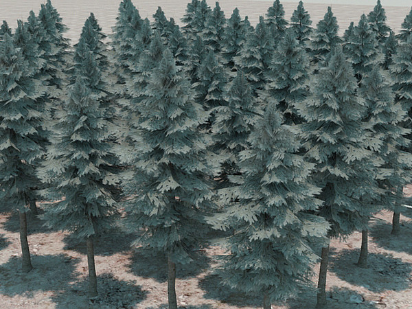 fir tree 3d max - Fir cone 03 by fabelar