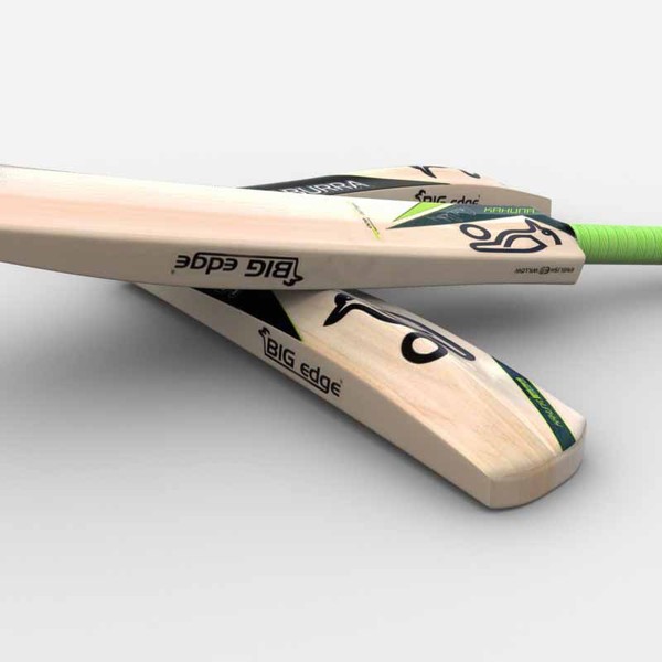 3d model bat - Bat by SanjeewaDP