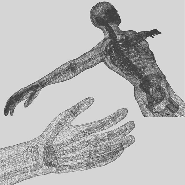 human body male 3d model - Human Body (Male)... by PROTOCG