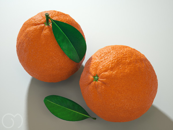 3d orange fruit - Orange by goodmesh
